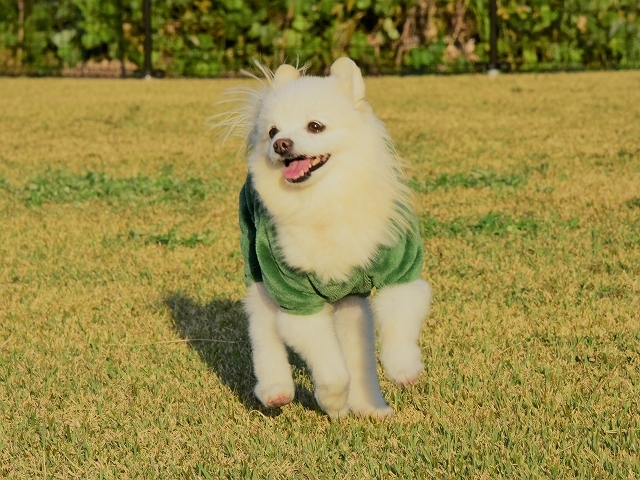 ずっとこんな日が続けば_d0360206_20441450.jpg