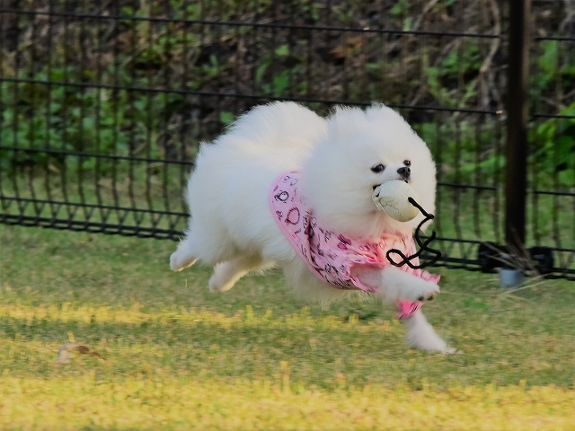 ずっとこんな日が続けば_d0360206_20442662.jpg