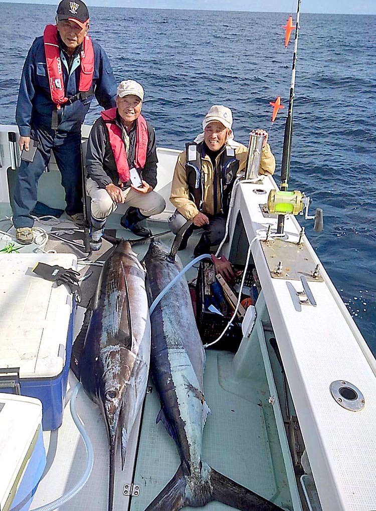 金華山沖カジキ好調その2_f0009039_09383408.jpg
