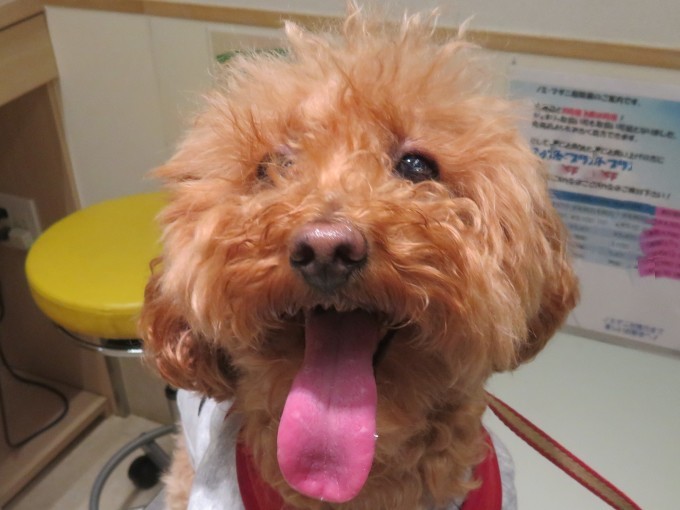 10 月 29 日の写真_c0174644_18244307.jpg
