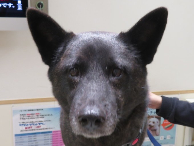 10 月 29 日の写真_c0174644_18244492.jpg