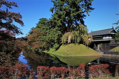弘前公園を秋さんぽ_2020.10.28撮影_d0131668_11551978.jpg