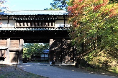 弘前公園を秋さんぽ_2020.10.28撮影_d0131668_11583871.jpg