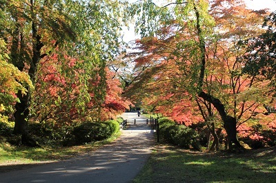 弘前公園を秋さんぽ_2020.10.28撮影_d0131668_11590491.jpg