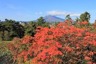 弘前公園を秋さんぽ_2020.10.28撮影_d0131668_12010116.jpg