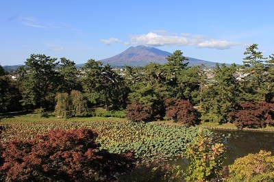 弘前公園を秋さんぽ_2020.10.28撮影_d0131668_12021182.jpg