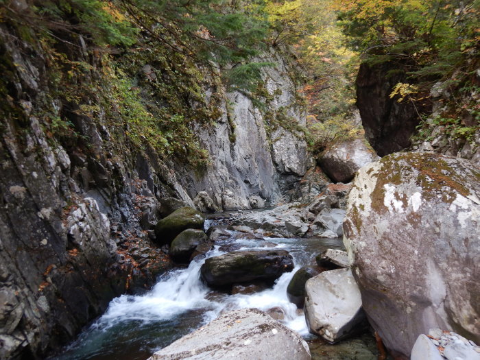 吾妻山・中津川 ～ ２０２０年１０月１８日～１９日_f0170180_20342691.jpg