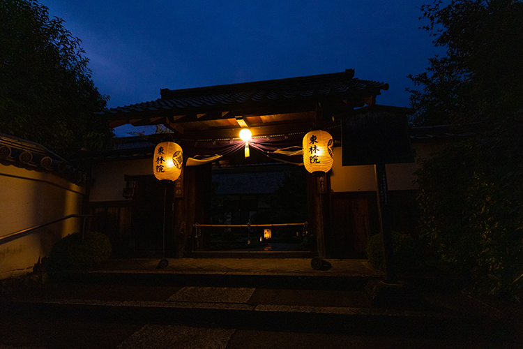 東林院(妙心寺塔頭)_e0051888_22411036.jpg