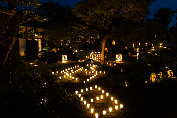 東林院(妙心寺塔頭)_e0051888_22455905.jpg