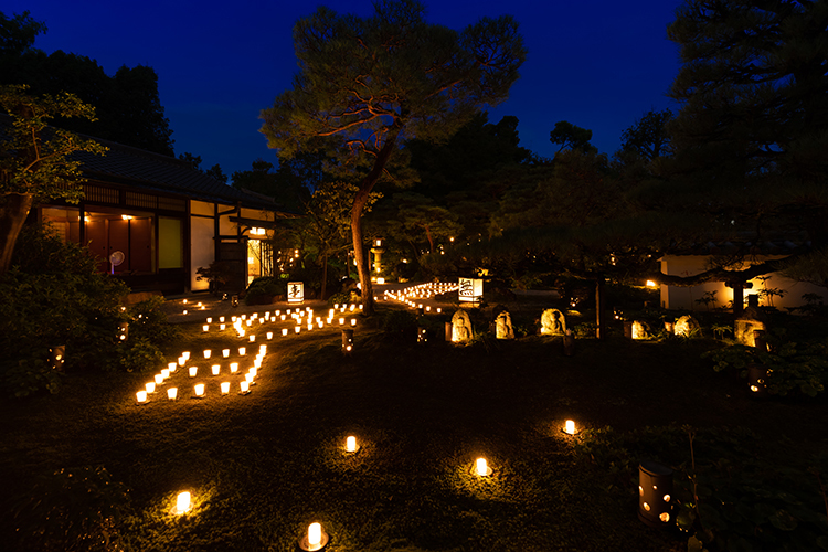 東林院(妙心寺塔頭)_e0051888_22474900.jpg