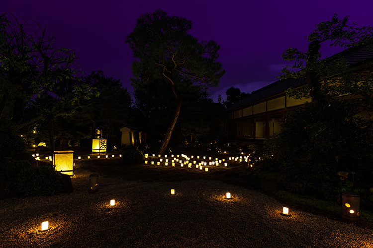 東林院(妙心寺塔頭)_e0051888_22482761.jpg
