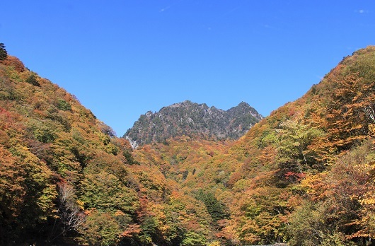 紅葉の西沢渓谷 あれまっ 通行止め ヤッホー 今日はどちらへ