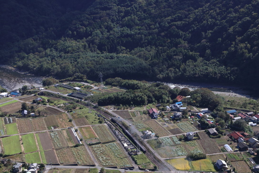 晩秋の蒟蒻畑を貫く汽車　- 2020年秋・上越線 -_b0190710_21382824.jpg