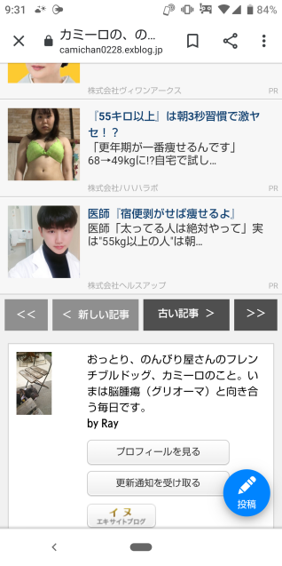 抱っこの季節がやってきた カミーロの のんびりな毎日 抱っこの季節がやってきた カミーロの のんびりな毎日