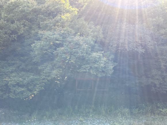 河原ランチ ~風の挨拶、光の矢~_c0141013_15120142.jpg