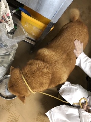 _f0078320_13463038.jpeg