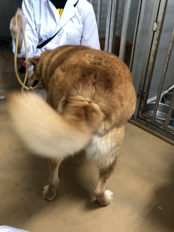 _f0078320_13472646.jpeg