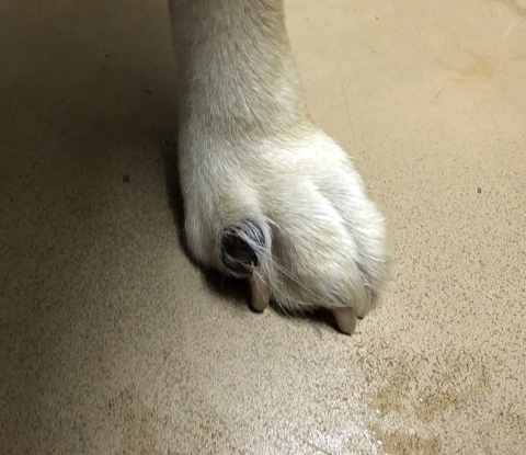 _f0078320_13474052.jpeg