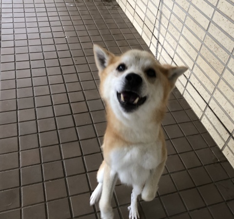 _f0078320_13500338.jpeg