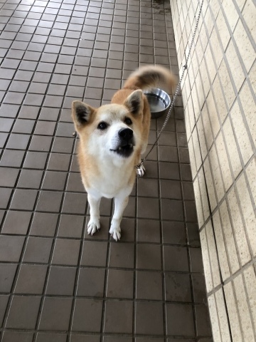 _f0078320_13502546.jpeg