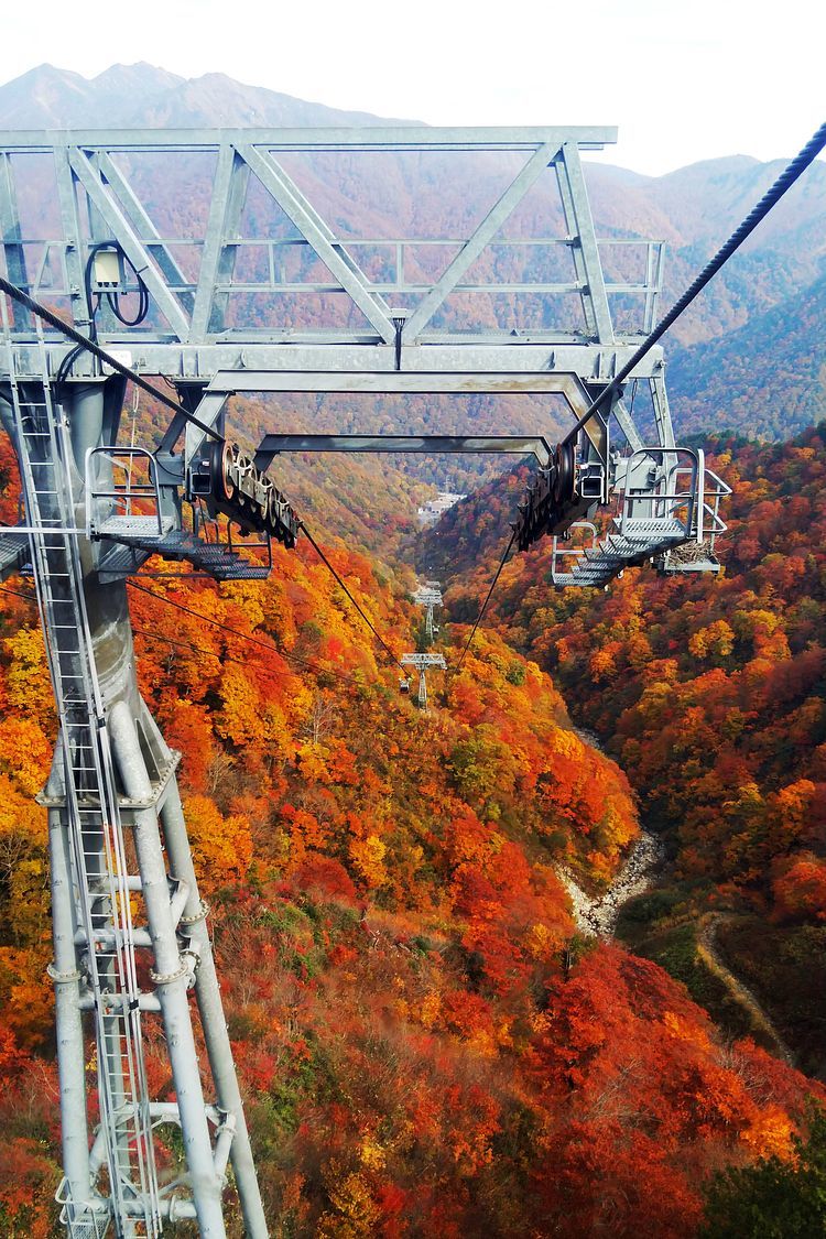 2020年谷川岳の紅葉は?・・・スマホの画、結構行ける?♪_a0031821_10564443.jpg