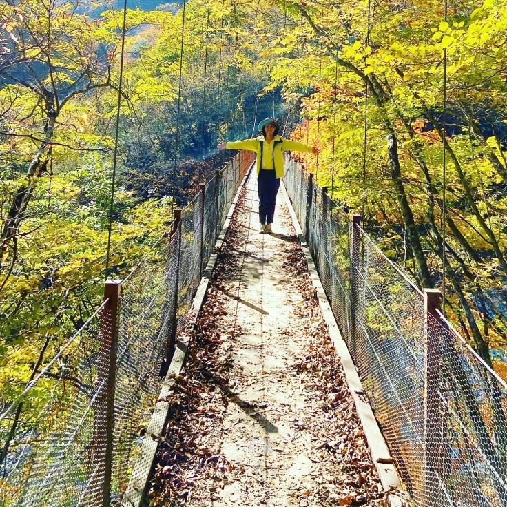 秋晴れの西沢渓谷は紅葉（通行止めあり）_a0018237_13431916.jpg