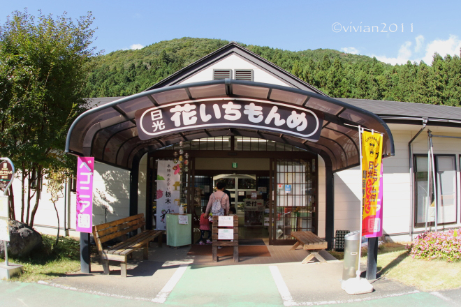 鬼怒川 日光花いちもんめ 2dayパスポートを持って 日々の贈り物 私の宇都宮生活 鬼怒川 日光花いちもんめ 2dayパスポートを持って 日々の贈り物 私の宇都宮生活
