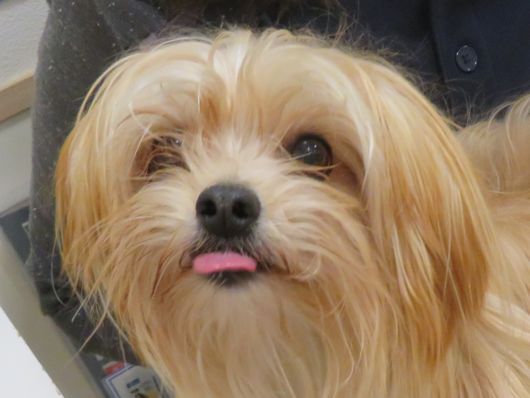 10 月 30 日の写真_c0174644_18483267.jpg