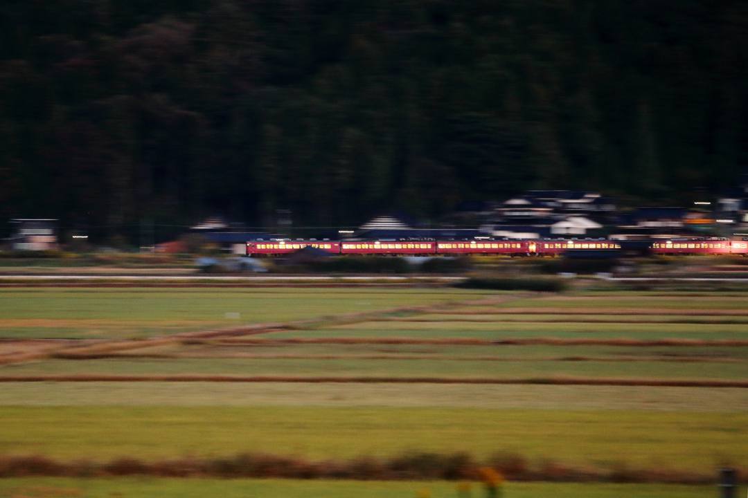 朝の白鳥_e0403850_21293342.jpg