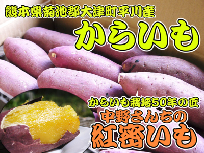 大人気の熊本県産サツマイモ『紅はるか』を大好評販売中！栽培歴50年の匠が育てたサツマイモ(からいも)です_a0254656_14483919.jpg