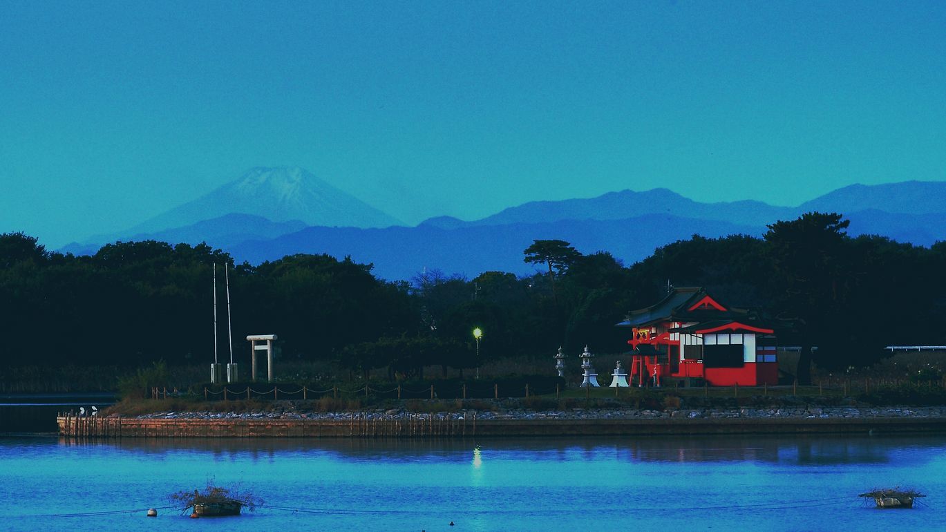 多々良沼はハイシーズンに♪　先ずは富士山を撮らなくっちゃ！♪_a0031821_11422708.jpg