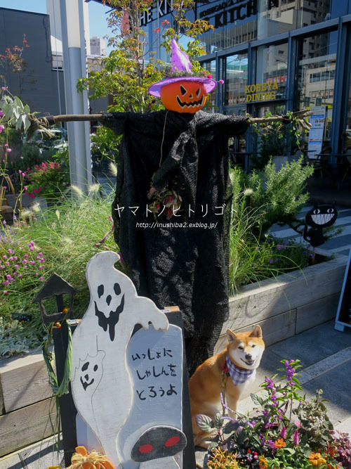 Happy Halloween!_e0394031_06404886.jpg