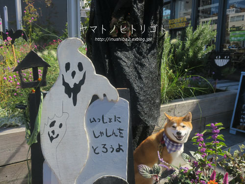 Happy Halloween!_e0394031_06405945.jpg