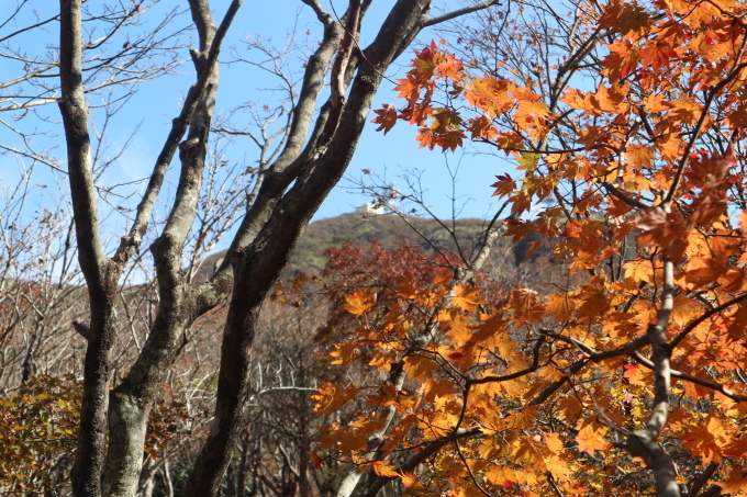 鶴見岳＆南平台の紅葉を楽しむ！_e0272335_19000822.jpg
