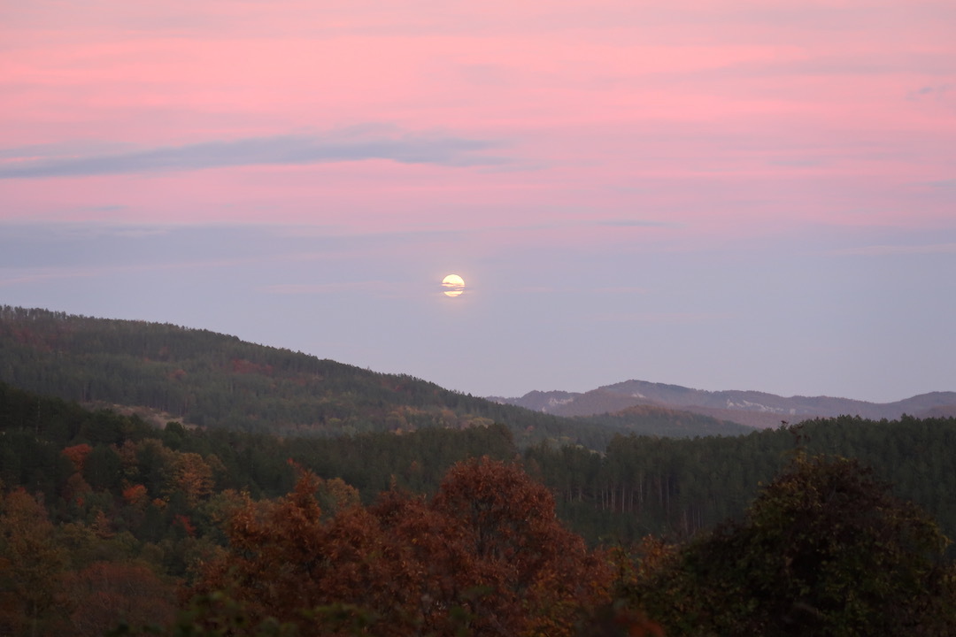 栗拾い歩く紅葉の森と夕空の月、トスカーナ カゼンティーノ_f0234936_07064988.jpeg