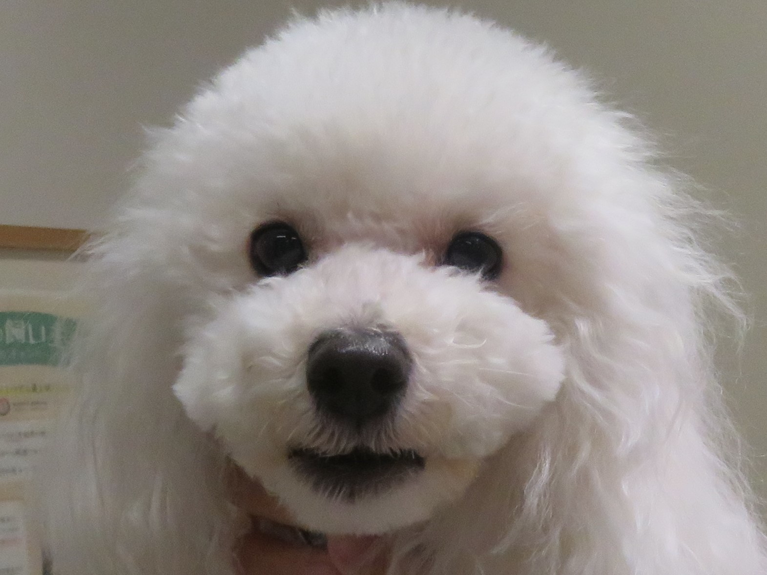 10月 31日の写真_c0174644_12375777.jpg