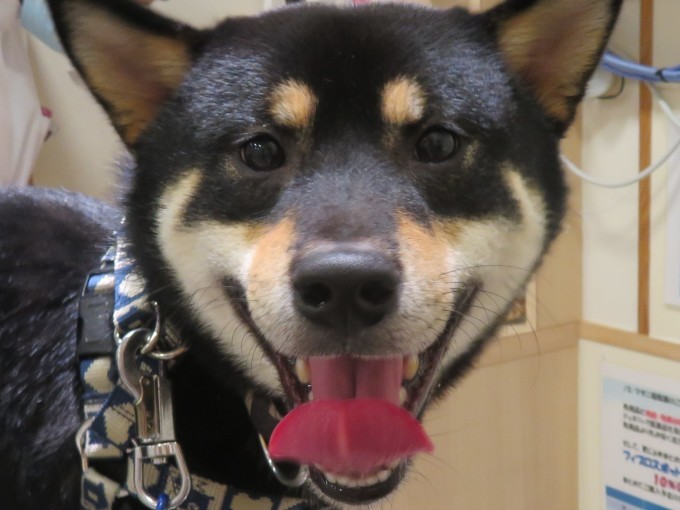 10月 31日の写真_c0174644_19124042.jpg