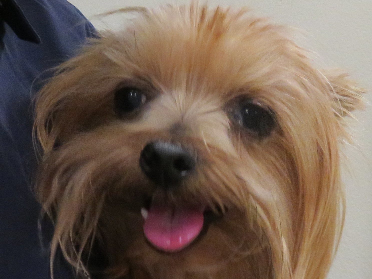 10月 31日の写真_c0174644_19225859.jpg