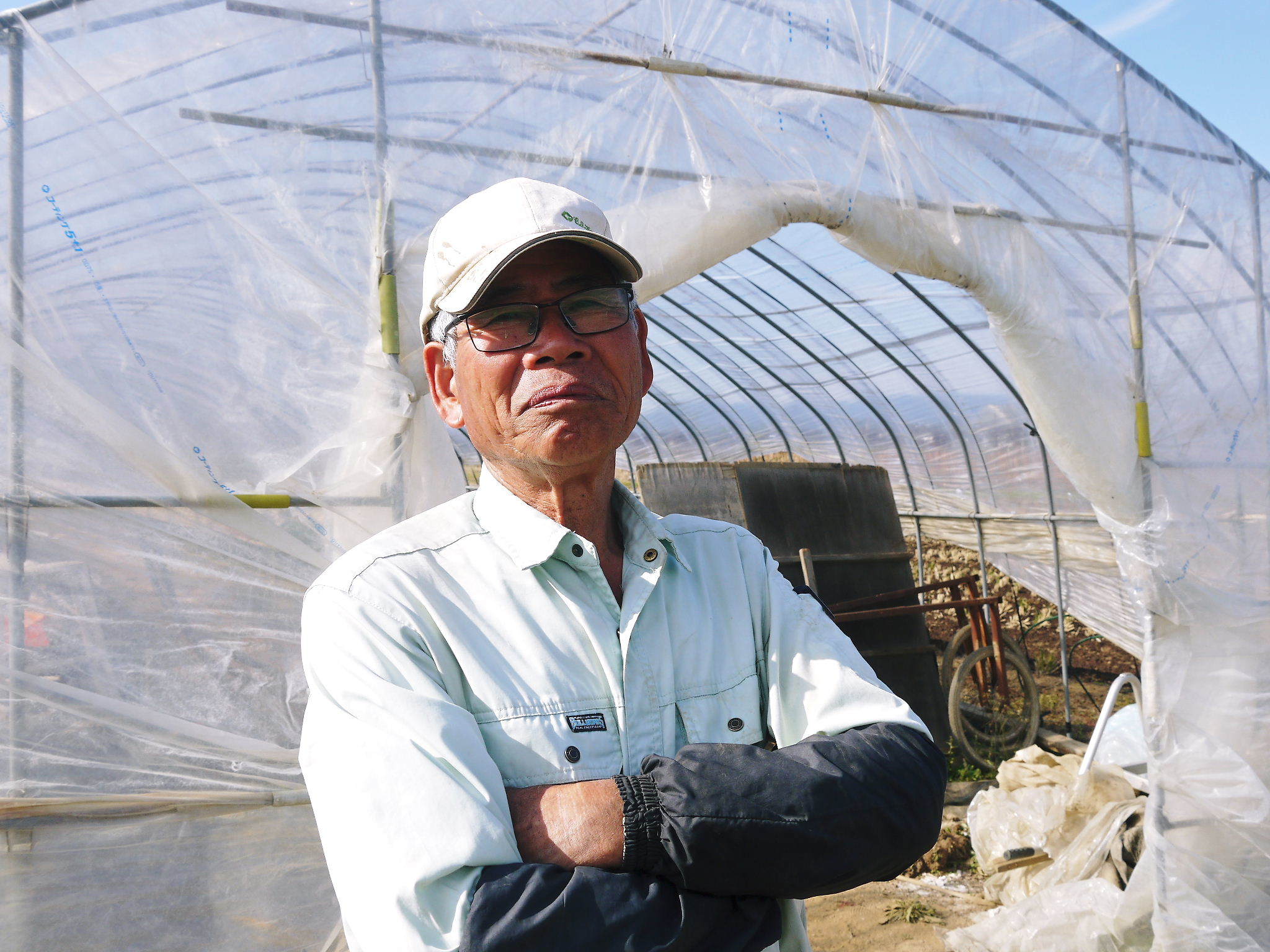 完熟紅ほっぺ 令和2年度も12月上旬からの出荷予定!定植後の様子を現地取材!_a0254656_14470991.jpg