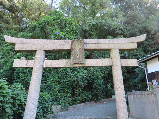 直島 護王神社 ほかにもたくさん杉本博司作品 おもいで座