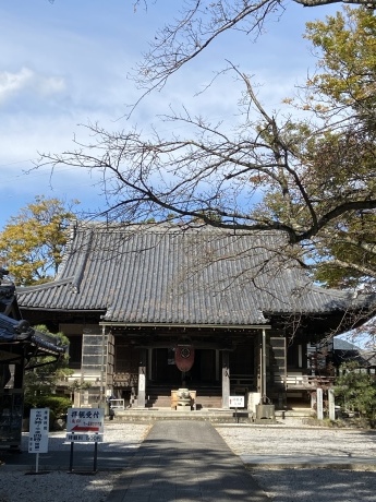 水の観音 -湖北、渡岸寺の十一面観音像と戦国時代ー_a0020162_01334960.jpeg