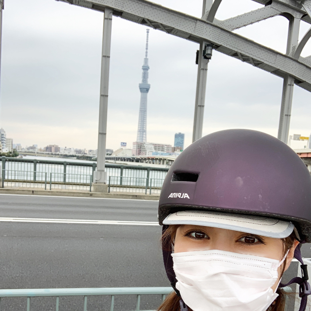BROMPTONと一緒に東京出張レポート_d0197762_14322679.jpg
