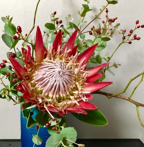 キングプロテア : 東京いけばな日記 花と暮らしと生活と キングプロテア : 東京いけばな日記 花と暮らしと生活と