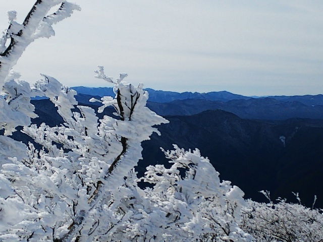 霧氷の高見山(2020.1.19）_a0093566_22481698.jpg