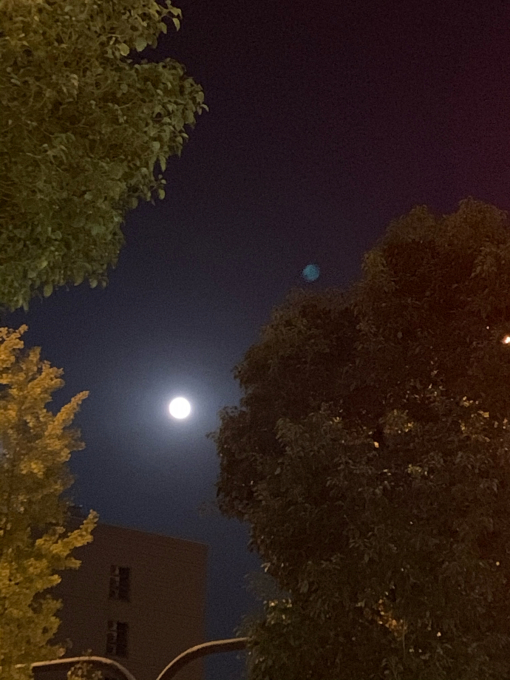 ポイント還元還元は私のもの(≧∇≦)_f0152875_18533391.jpg