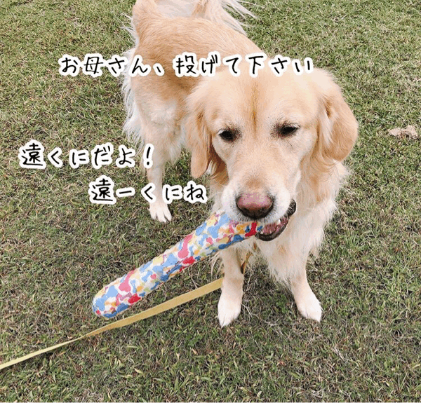 河川敷には魔物?_e0366676_15334236.gif