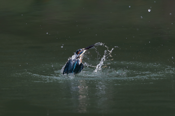 U公園通信　日曜日編〜_f0396820_18130964.jpg