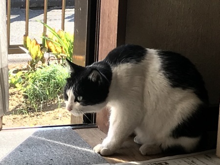 まるのお口エチケット_a0136671_06050266.jpeg