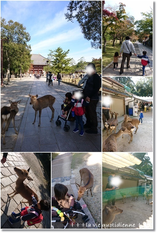 薩摩芋とアーモンドのマルチシリアル角食と紅葉狩りに奈良公園へ♪_a0348473_23522266.jpg