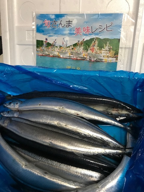 見守り帰省_f0117977_13154219.jpg